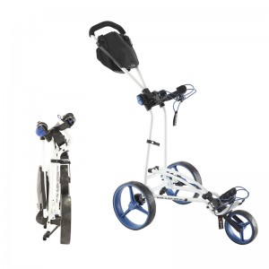 triumph voyager deluxe buggy